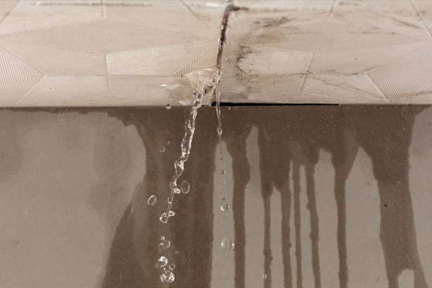 Professional Sewage Cleanup technician working in Porter Ranch, CA